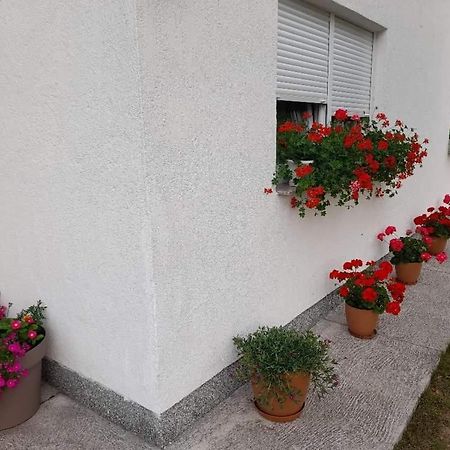 Rooms Danica Donji Babin Potok Exterior foto
