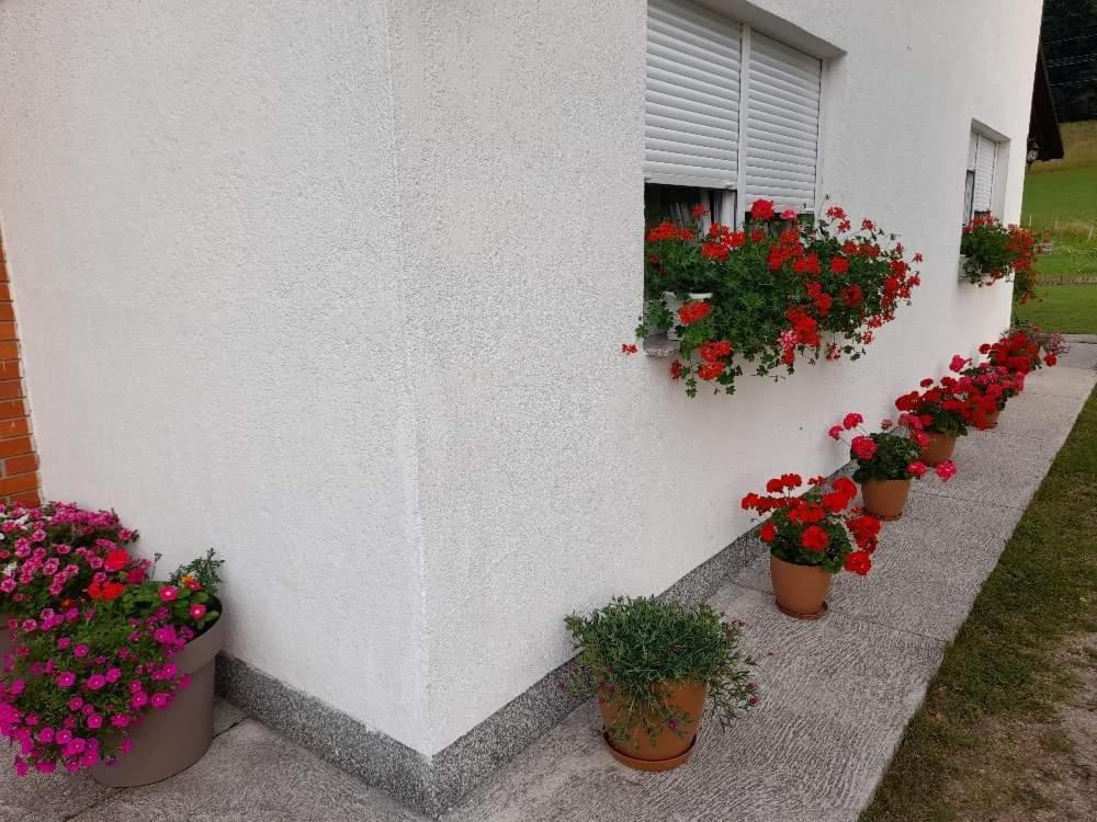 Rooms Danica Donji Babin Potok Exterior foto