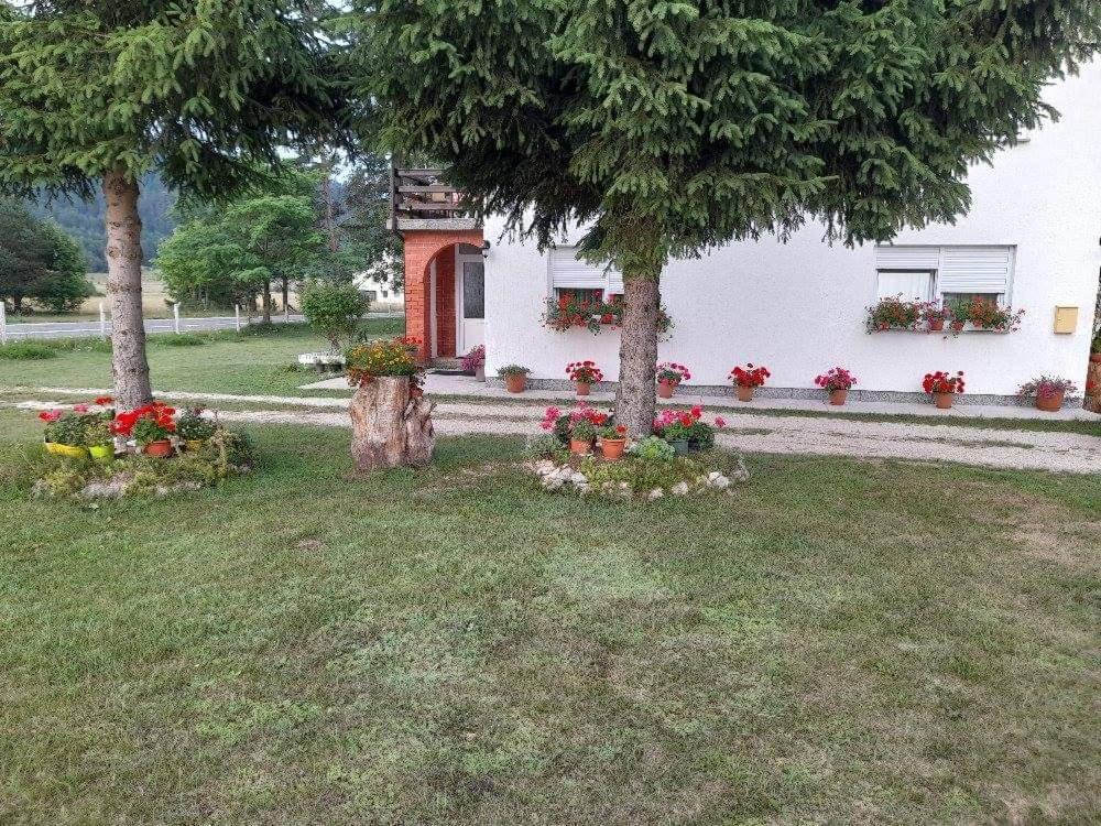 Rooms Danica Donji Babin Potok Exterior foto