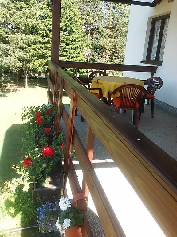 Rooms Danica Donji Babin Potok Exterior foto